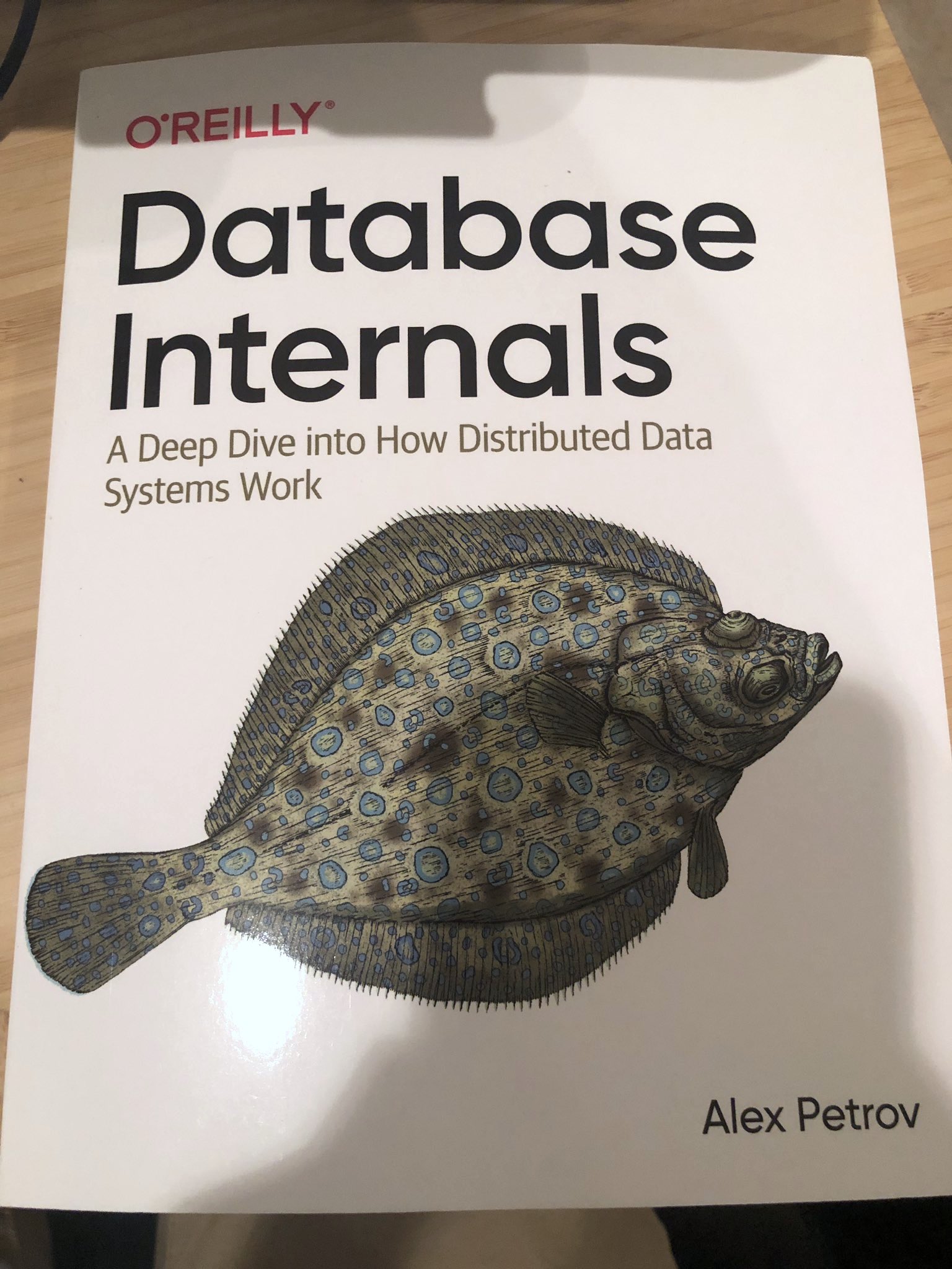 Database internals paper book